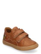 Shoes - Flat - With Velcro Low-top Sneakers Brown ANGULUS