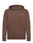 Hco. Guys Sweatshirts Tops Sweatshirts & Hoodies Hoodies Brown Hollist...