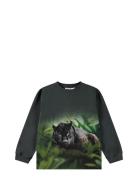 Rube Tops Sweatshirts & Hoodies Sweatshirts Green Molo