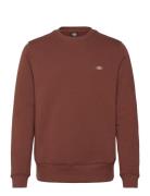 Oakport Sweatshirt Designers Sweatshirts & Hoodies Sweatshirts Brown D...