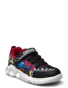 J Wroom Boy D Low-top Sneakers Black GEOX