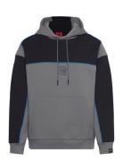 Dilverston_Rb Designers Sweatshirts & Hoodies Hoodies Grey HUGO