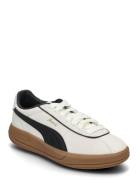 Puma Club Klassika Sd Sport Sport Shoes Sport Sneakers Sport Low Top S...