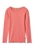 Rib T-Shirt Lace Ls Tops T-shirts Long-sleeved T-Skjorte  Wheat