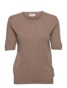 T-Shirt Over Designers Knitwear Jumpers Brown Davida Cashmere