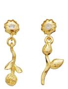 Amaria Earrings Ørestickere Smykker Gold Maanesten