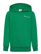 Hooded Sweatshirt Tops Sweatshirts & Hoodies Hoodies Green Champion