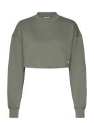 Studio Over D Cropped Sweatshirt Sport Women Sport Clothing Sport Swea...