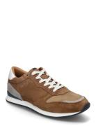 Elmore Low-top Sneakers Brown Lloyd