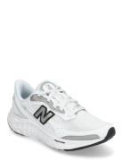 New Balance Freshfoam Arishi V4 Sport Women Sport Shoes Sport Sneakers...