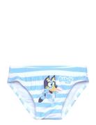 Swimsuit Bikini Blue Bluey