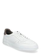 Ace - White/Elephant Leather Low-top Sneakers White Garment Project