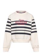Tommy Script Cn Sweatshirt Tops Sweatshirts & Hoodies Sweatshirts Crea...