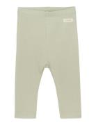 Leggings Rib Bottoms Leggings Green Fixoni