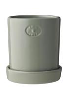 Terracotta Plant Pot Home Decoration Flower Pots Green Lexington Home