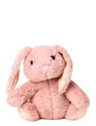 Spiced Latte Foodiemals Plush Door Stop Toys Soft Toys Stuffed Toys Pi...