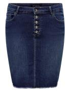 Carwilly Hw Btn Skirt Tai251 Skirts Knee-length & Midi Skirts Blue ONL...