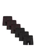 Sports Trunks 6 Pack Sport Boxers Black Danish Endurance