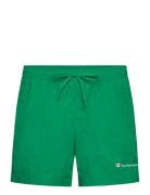 Beachshort Sport Shorts Green Champion