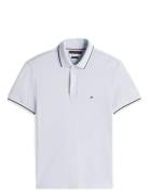 Tipped Slim Fit Seasonal Polo Tops Polos Short-sleeved Blue Tommy Hilf...