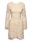 Imani Guipure Lace Mini Dress Kort Kjole Cream Malina