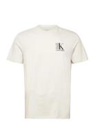 Ss 30S Eu Sp Ck Abstract Graphic Tops T-Kortærmet Skjorte Cream Calvin...