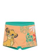 Maillot De Bain Night & Underwear Underwear Underpants Multi/patterned...