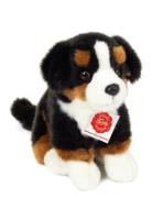 Sitting Bernese Mountain Dog 21 Cm Toys Soft Toys Stuffed Animals Mult...