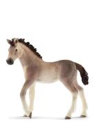 Schleich Andalusian Foal Toys Playsets & Action Figures Animals White ...