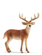 Schleich White-Tailed Buck Toys Playsets & Action Figures Animals Oran...