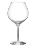 More Pinot Vinglas 60Cl 2-Pack Home Tableware Glass Wine Glass Red Win...