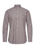 Slim Fit Striped Stretch Poplin Shirt Tops Shirts Casual Brown Polo Ra...