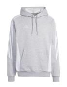 Tiro24 Swhood Sport Men Sport Clothing Sport Sweatshirts & Hoodies Spo...
