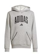J Clgt Oh Fl Hd Tops Sweatshirts & Hoodies Hoodies Grey Adidas Sportsw...