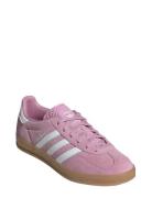 Gazelle Indoor W Sport Women Sport Shoes Sport Sneakers Sport Low Top ...