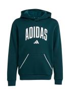 J Clgt Oh Fl Hd Tops Sweatshirts & Hoodies Hoodies Green Adidas Sports...