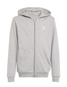 Full Zip Hoodie Tops Sweatshirts & Hoodies Hoodies Grey Adidas Origina...