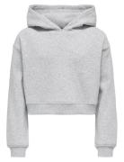 Kogsweat L/S Hoodie Short Swt Noos Tops Sweatshirts & Hoodies Hoodies ...