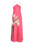 Ajima Maxikjole Festkjole Pink Ted Baker London