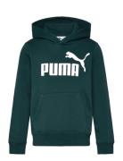 Ess No. 1 Logo Hoodie Fl B Sport Sweatshirts & Hoodies Hoodies Green P...