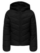 Kogkajsa Light Quilt Hood Jkt Otw Noos Foret Jakke Black Kids Only