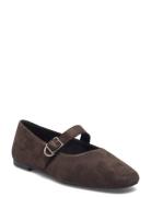 Jolin Ballerinasko Ballerinaer Brown VAGABOND