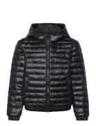 Shiny Light Padded Jacket Foret Jakke Black GANT
