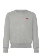 Fw-Crew Tops Sweatshirts & Hoodies Sweatshirts Grey Levi's