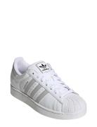 Superstar Ii Sport Women Sport Shoes Sport Sneakers Sport Low Top Snea...