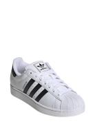 Superstar Ii Sport Women Sport Shoes Sport Sneakers Sport Low Top Snea...