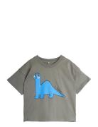 Dino Sp Ss Tee Tops T-Kortærmet Skjorte Grey Mini Rodini