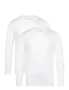 Core Slim Long Sleeve T-Shirt 2P Tops T-Langærmet Skjorte White Björn ...