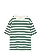 Stripes Freen Collie T-Shirt Tops T-Kortærmet Skjorte Green THE ANIMAL...