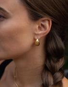 Muli Collection - Guld - Midi Drop Earring